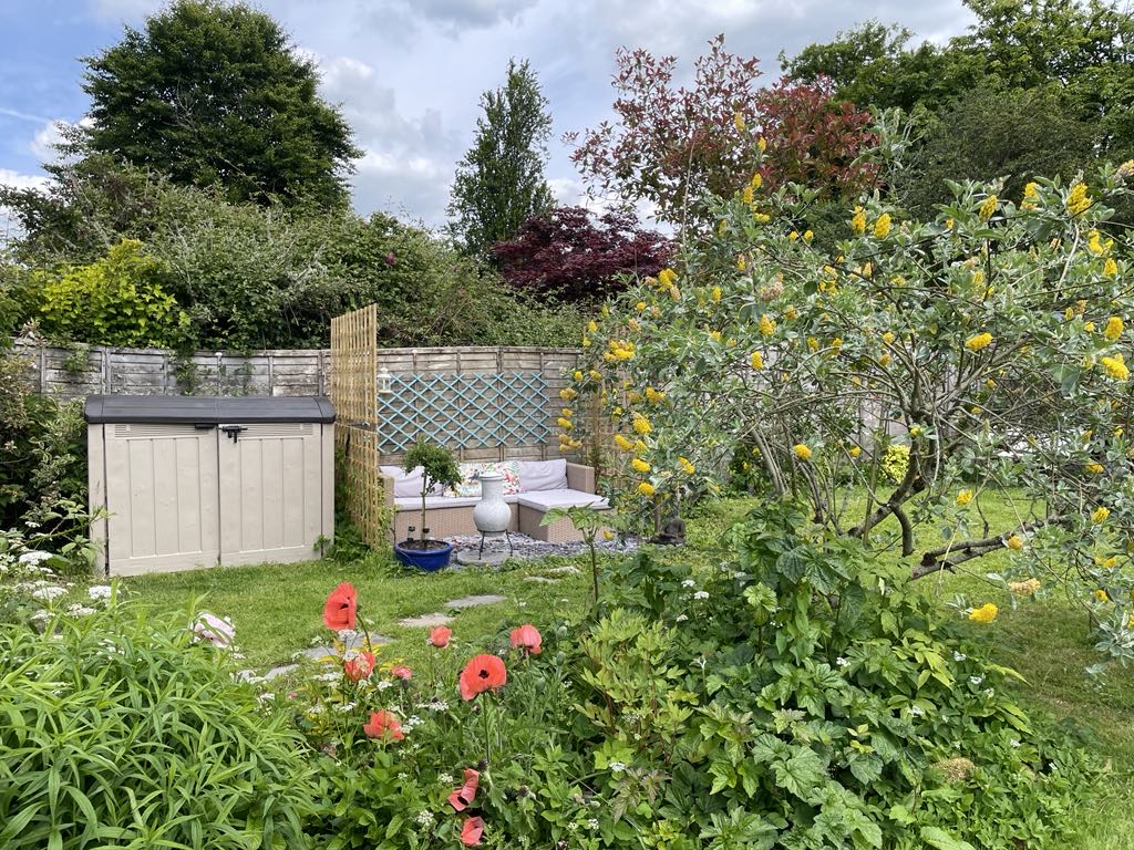 view across garden