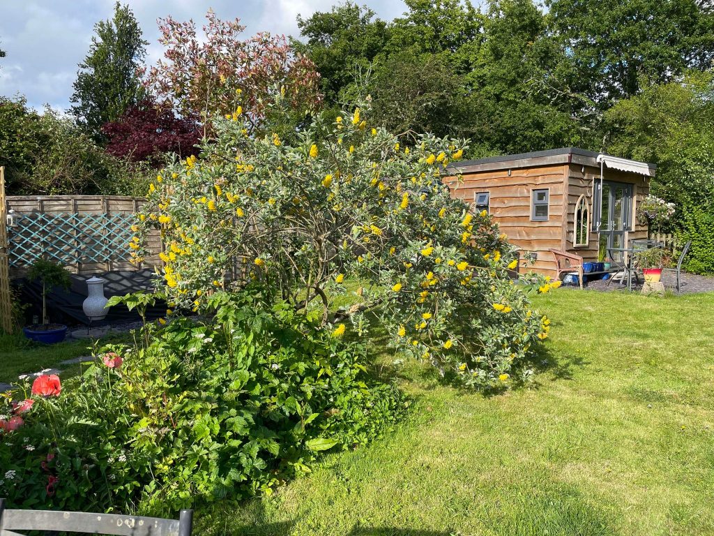 Garden with summerhouse