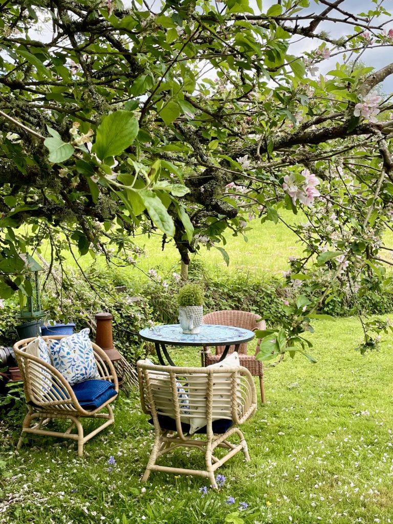 garden table and chairs
